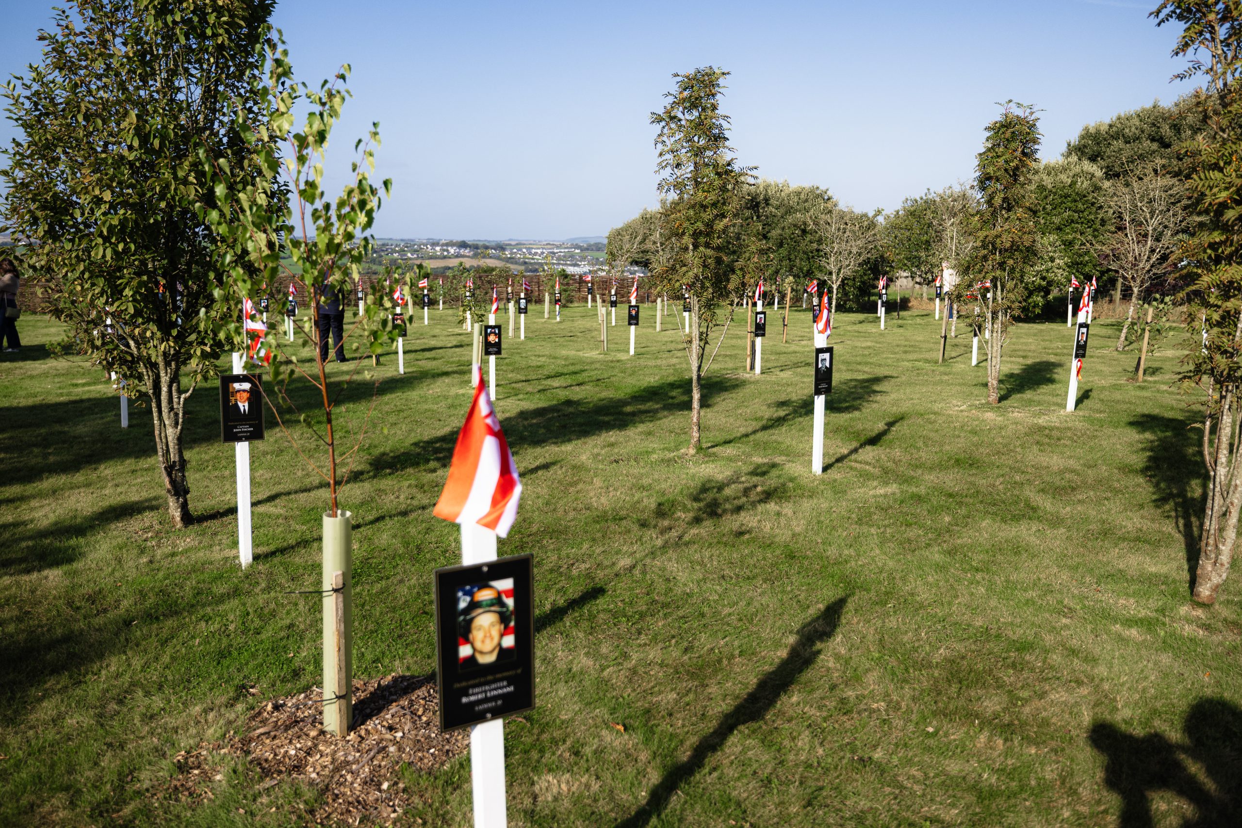 Trees in Ringfinnan Garden of Remembrance with blue sky