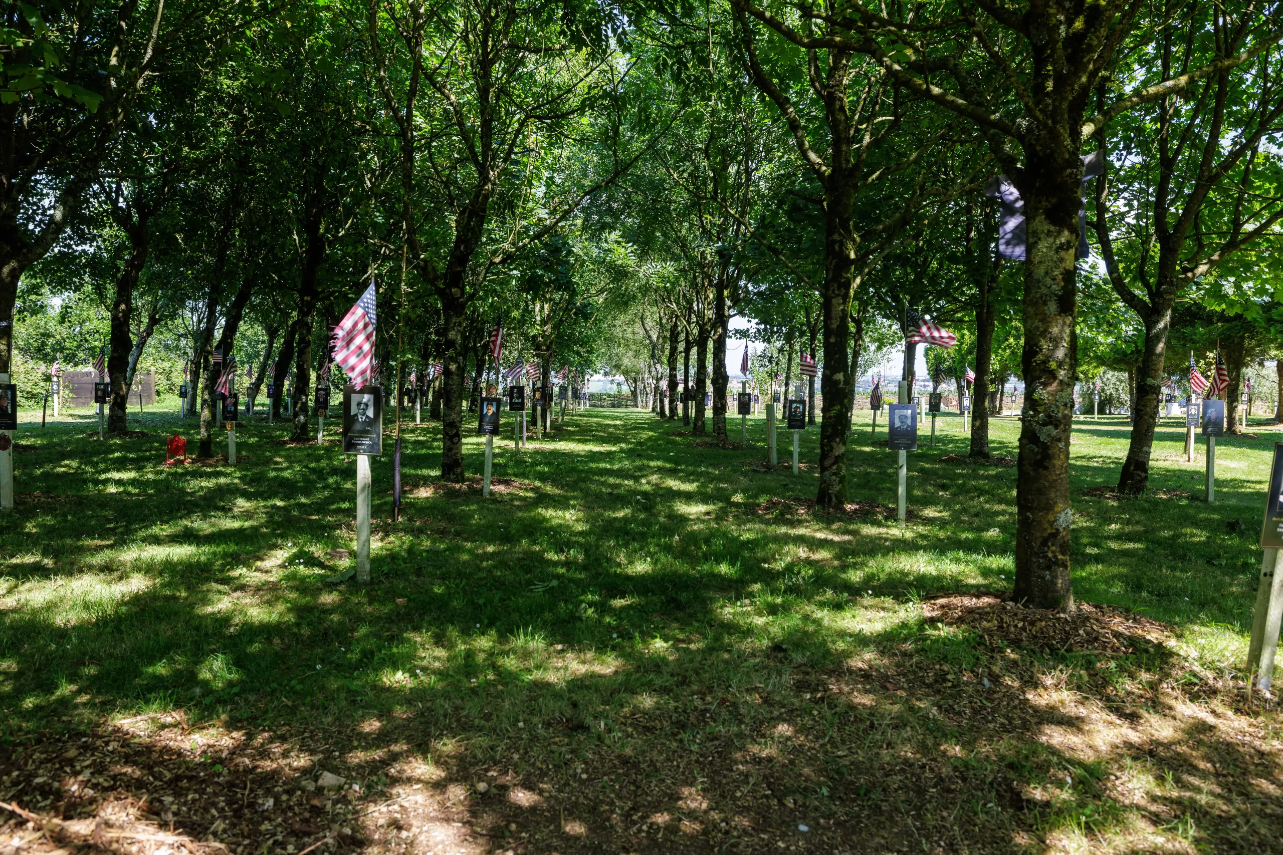Internal view of the Ringfinnan garden of Remembrance looking down into a row of trees. Plaques are displayed with American flags.