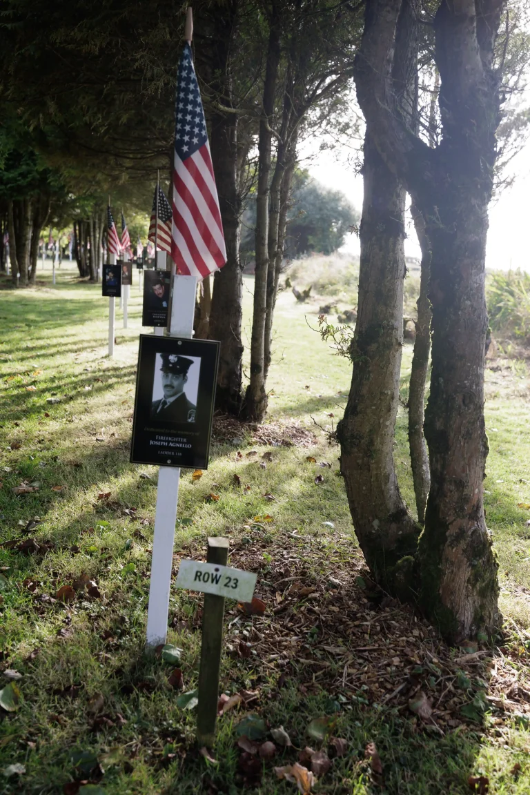 Photo of Joseph Agnello's tree in Ringfinnan Garden of Remembrance