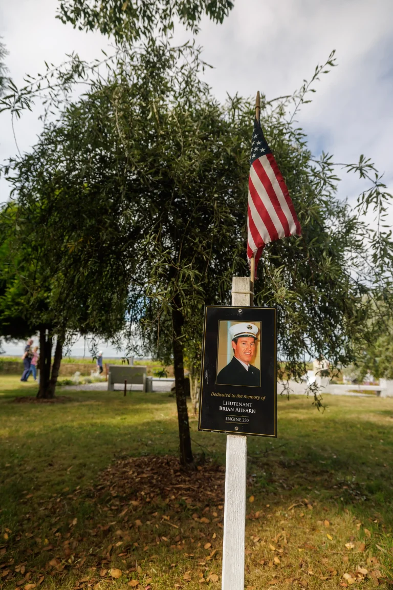 Photo of Brian Ahearn's tree in Ringfinnan Garden of Remembrance