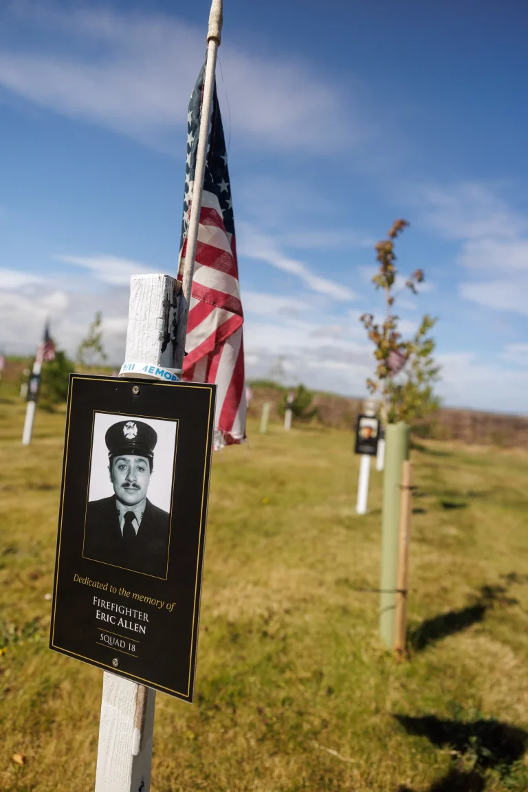 Photo of Eric Allen's tree in Ringfinnan Garden of Remembrance