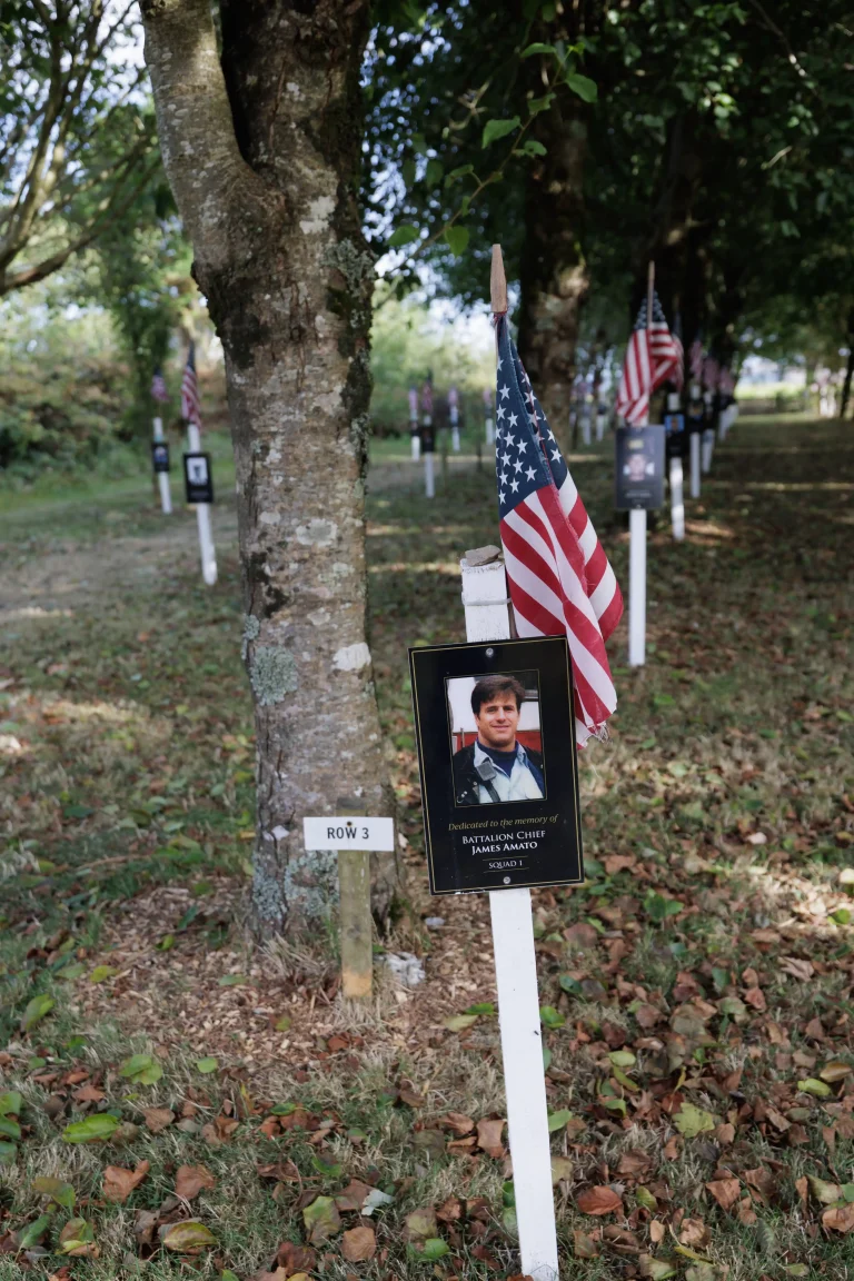 Photo of James Amato's tree in Ringfinnan Garden of Remembrance