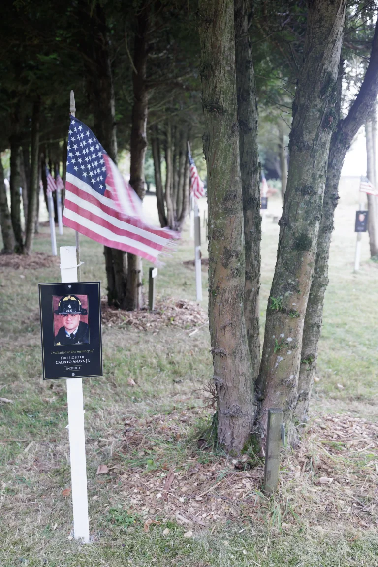 Photo of Calixto Anaya Jr's tree in Ringfinnan Garden of Remembrance