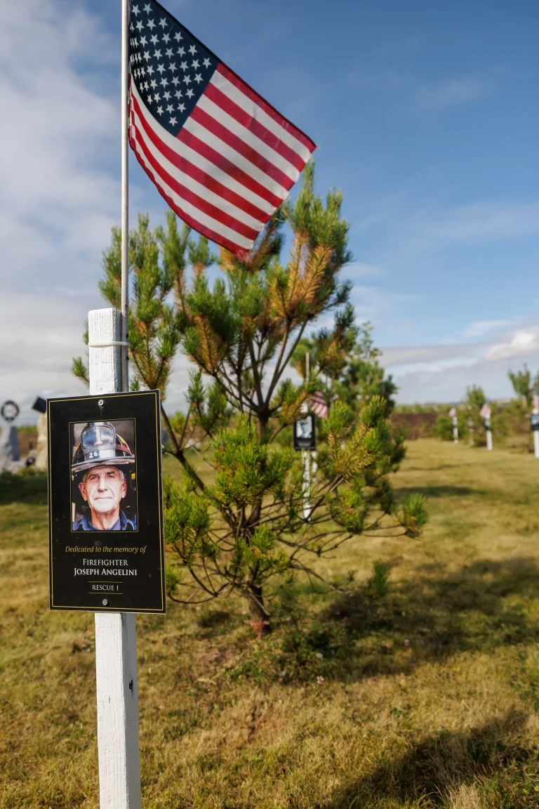 Photo of Joseph Angelini' Sr's tree in Ringfinnan Garden of Remembrance