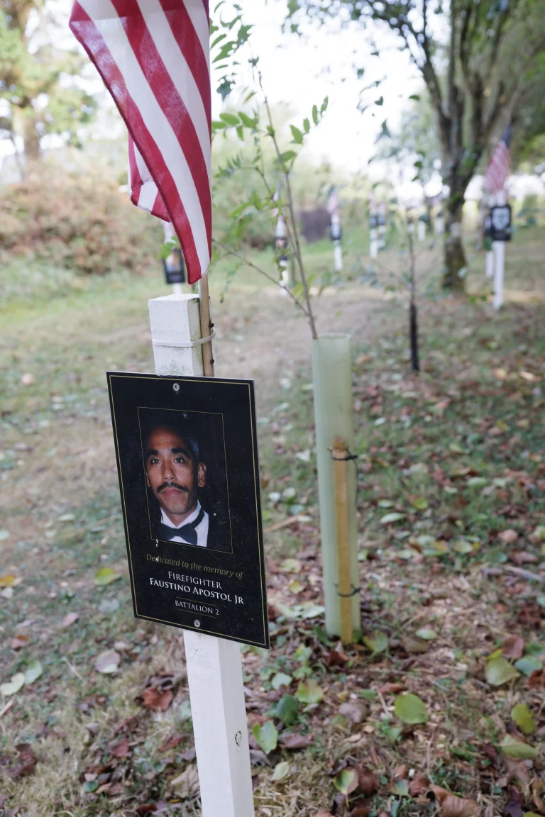 Photo of Faustino Apostol Jr's tree in Ringfinnan Garden of Remembrance