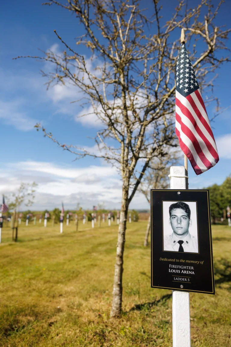 Photo of Louis Arena's tree in Ringfinnan Garden of Remembrance
