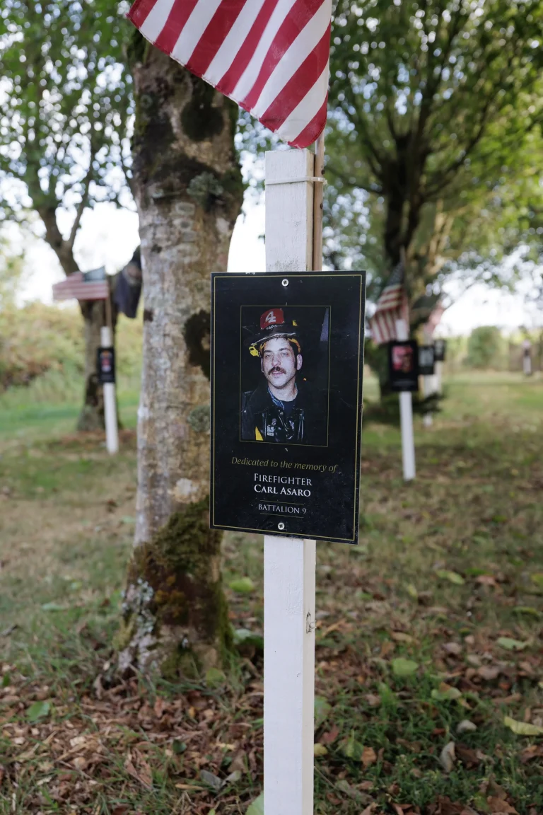 Photo of Carl Asaro's tree in Ringfinnan Garden of Remembrance