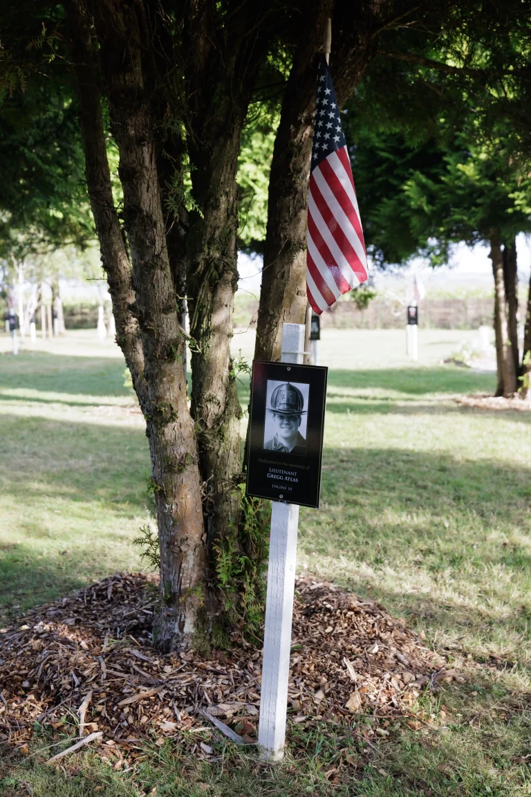 Photo of Gregg Atlas's tree in Ringfinnan Garden of Remembrance