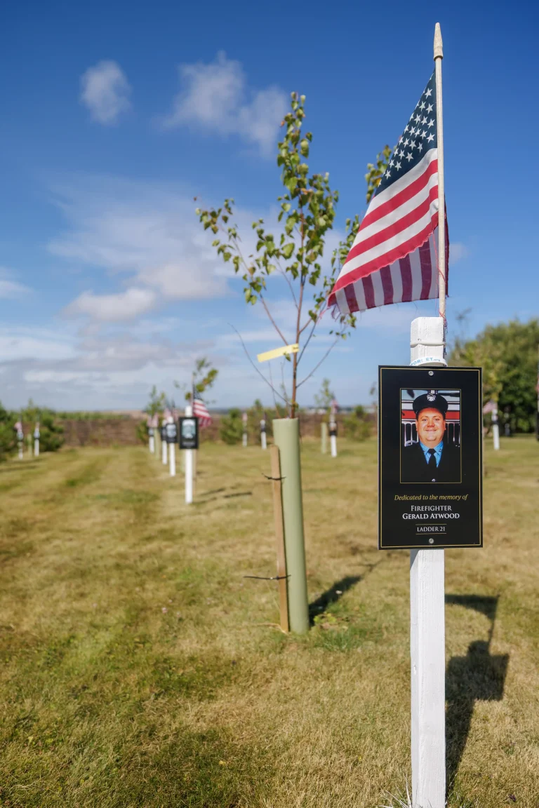 Photo of Gerald Atwood's tree in Ringfinnan Garden of Remembrance