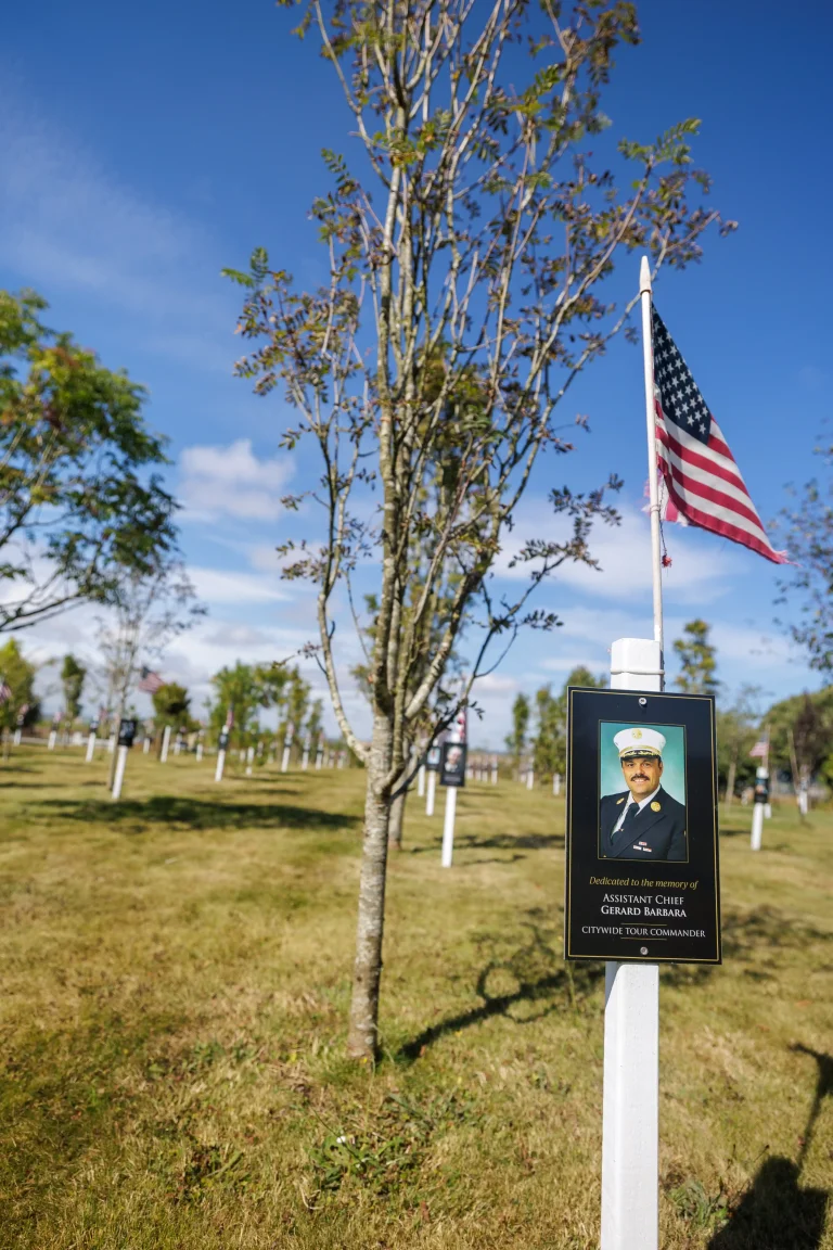 Photo of Gerard Barbara's tree in Ringfinnan Garden of Remembrance