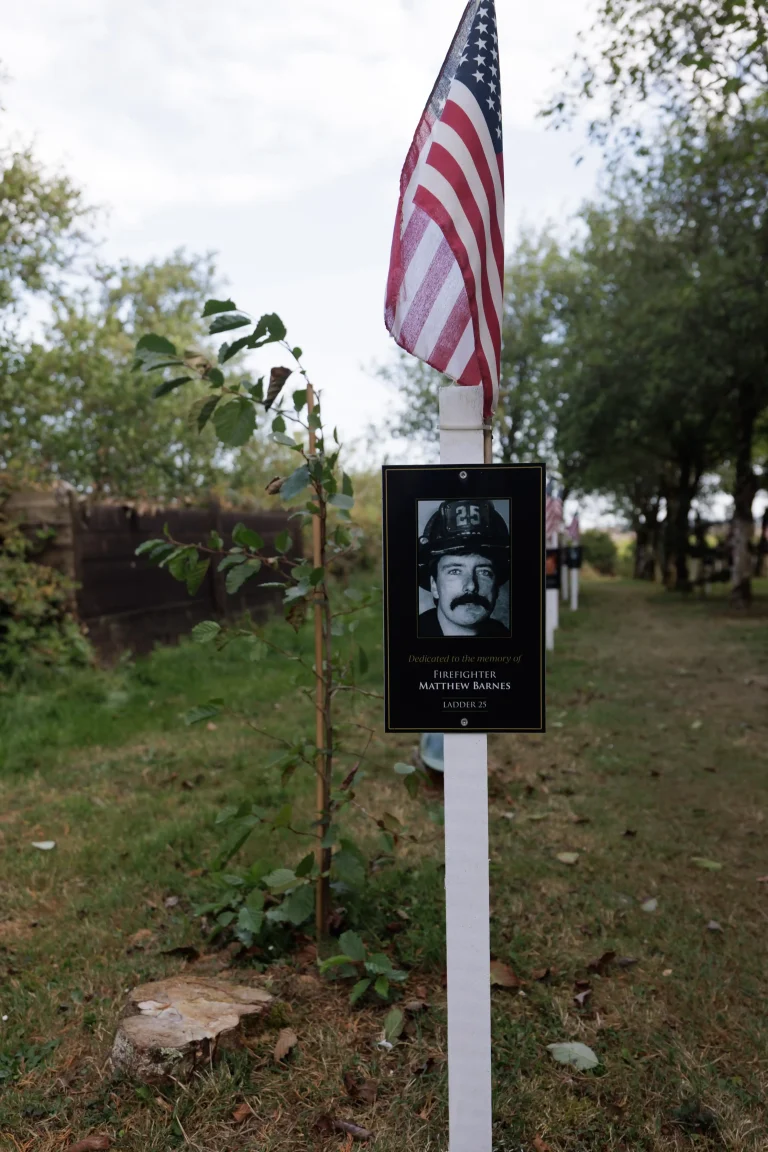 Photo of Matthew Barnes's tree in Ringfinnan Garden of Remembrance
