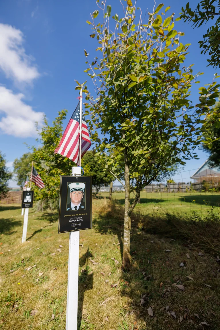 Photo of Steven Bates's tree in Ringfinnan Garden of Remembrance