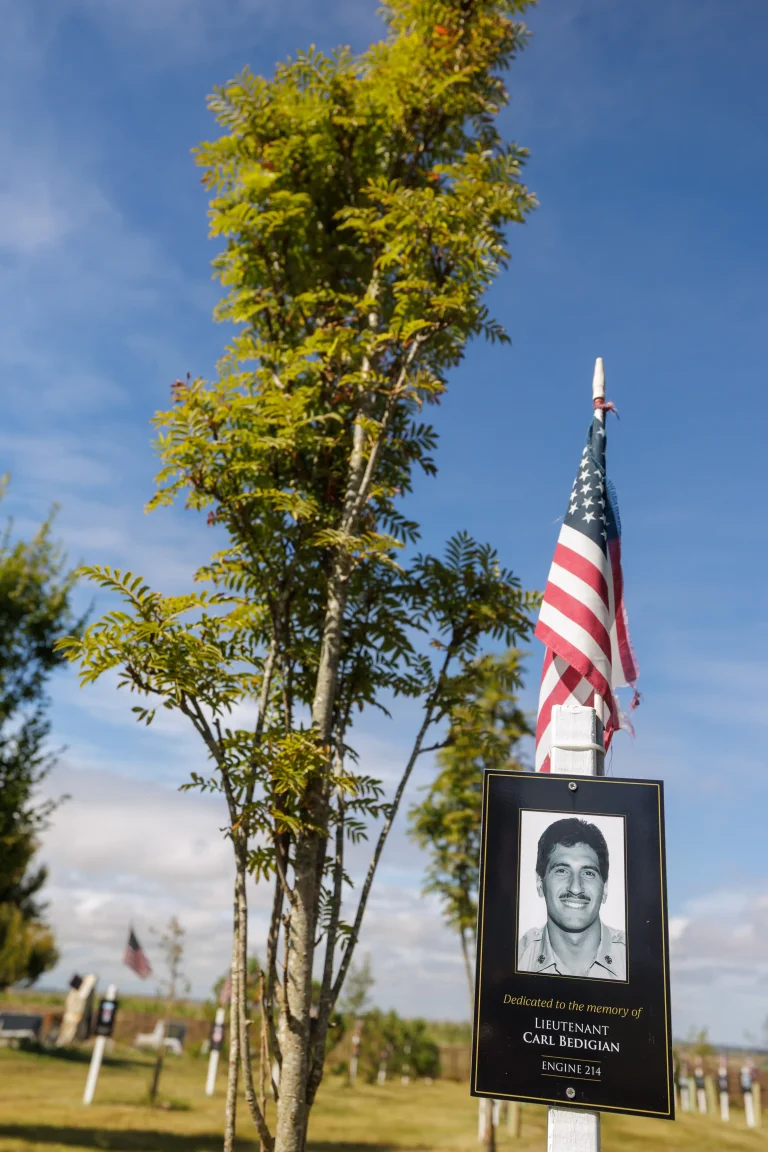 Photo of Carl Bedigian's tree in Ringfinnan Garden of Remembrance