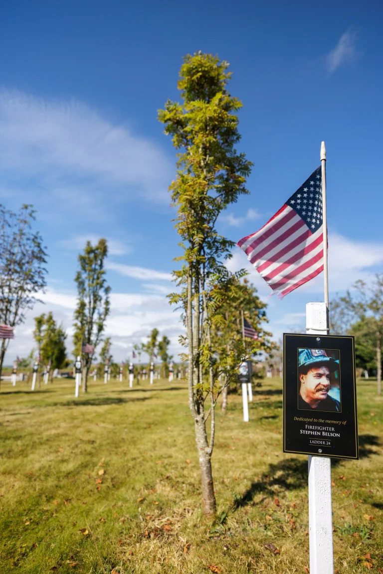 Photo of Stephen Belson's tree in Ringfinnan Garden of Remembrance