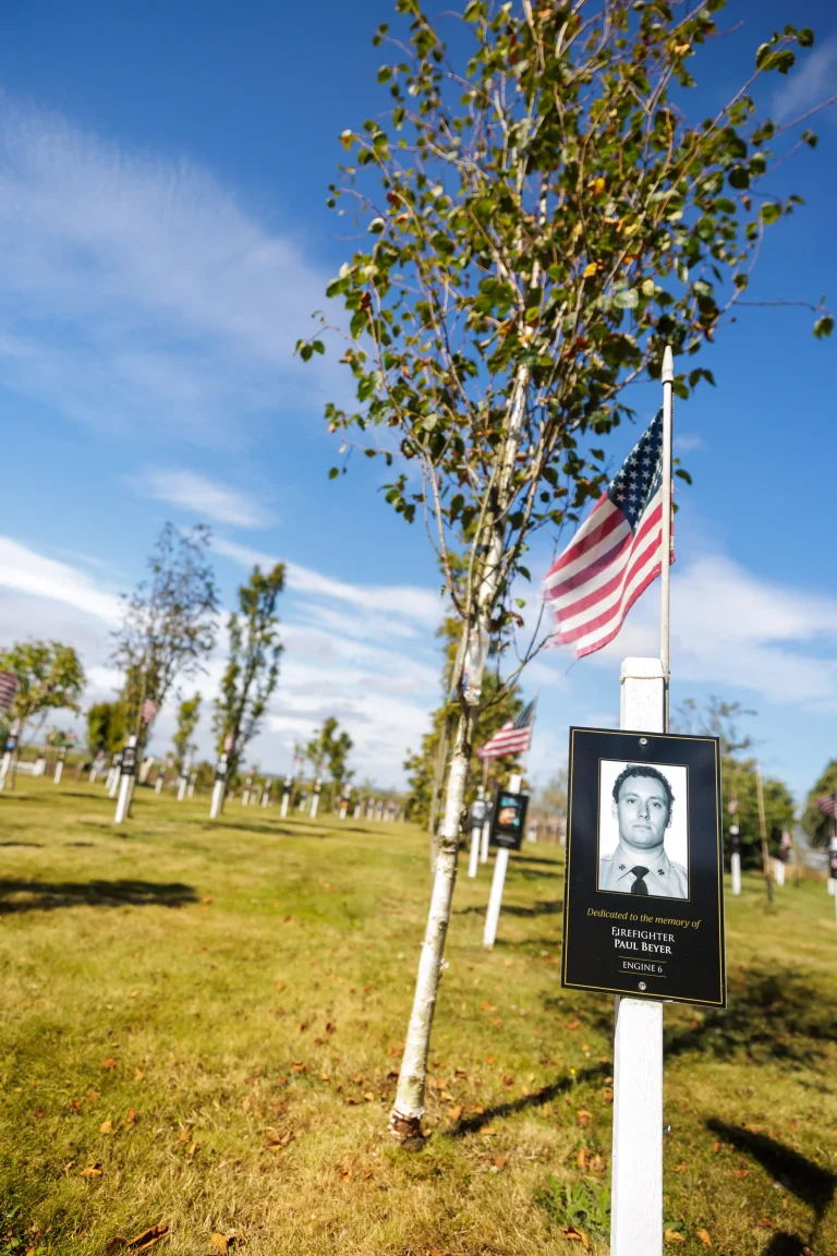 Photo of Paul Beyer's tree in Ringfinnan Garden of Remembrance