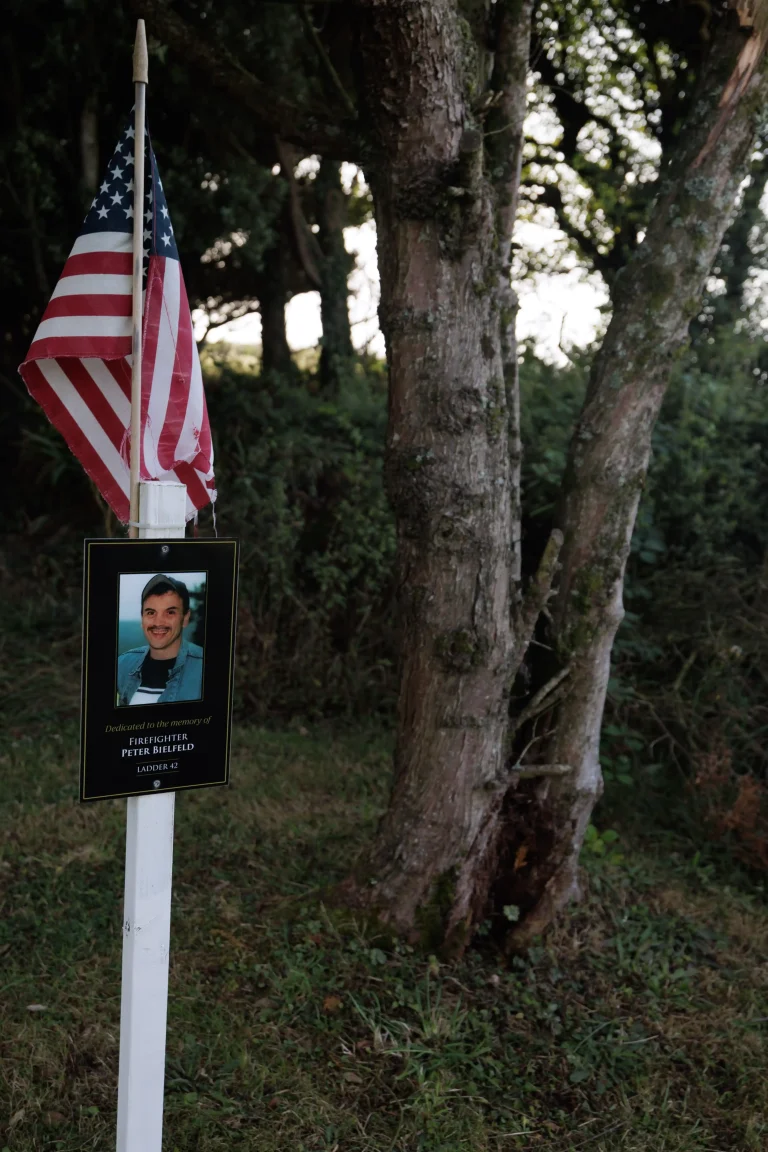 Photo of Peter Bielfeld's tree in Ringfinnan Garden of Remembrance