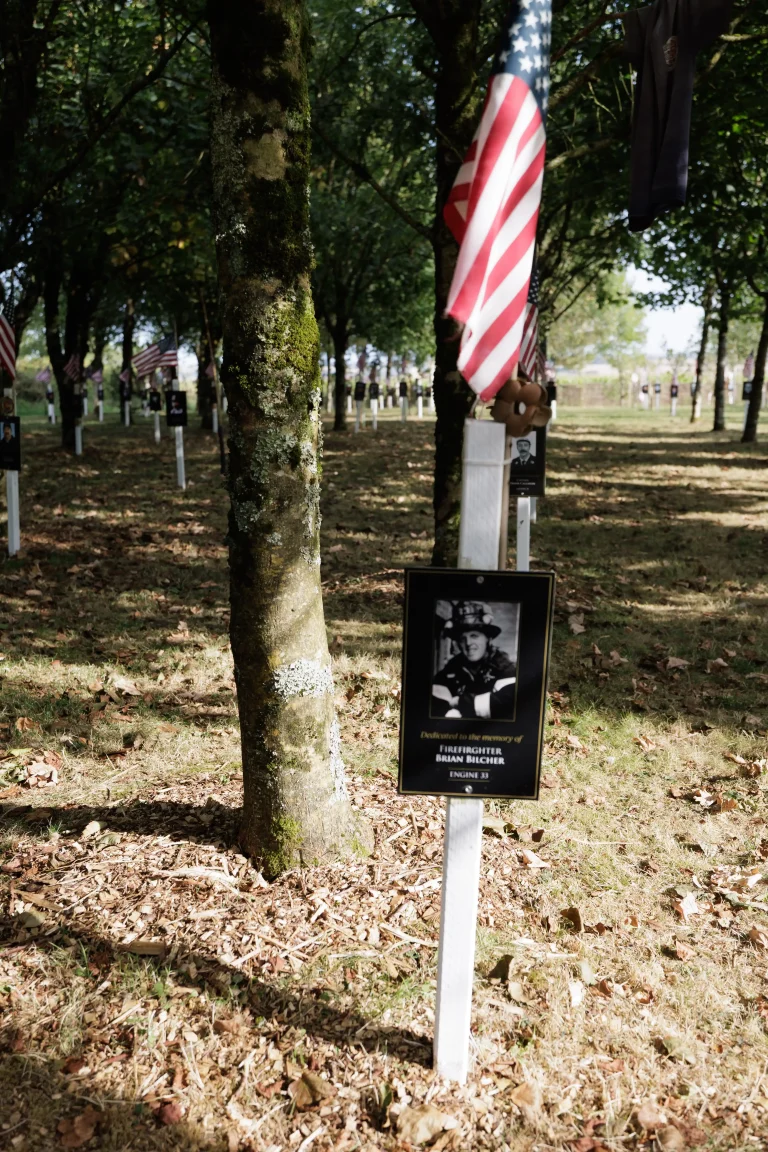Photo of Brian Bilcher's tree in Ringfinnan Garden of Remembrance