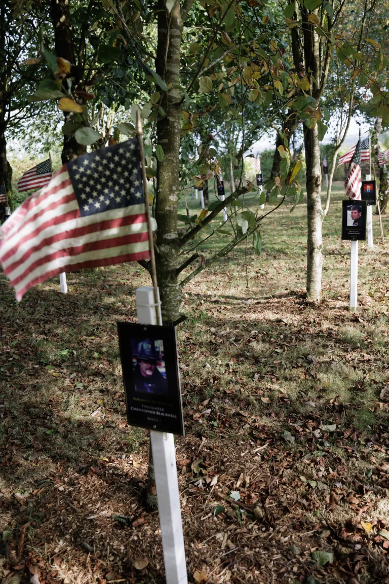 Photo of Christopher Blackwell's tree in Ringfinnan Garden of Remembrance