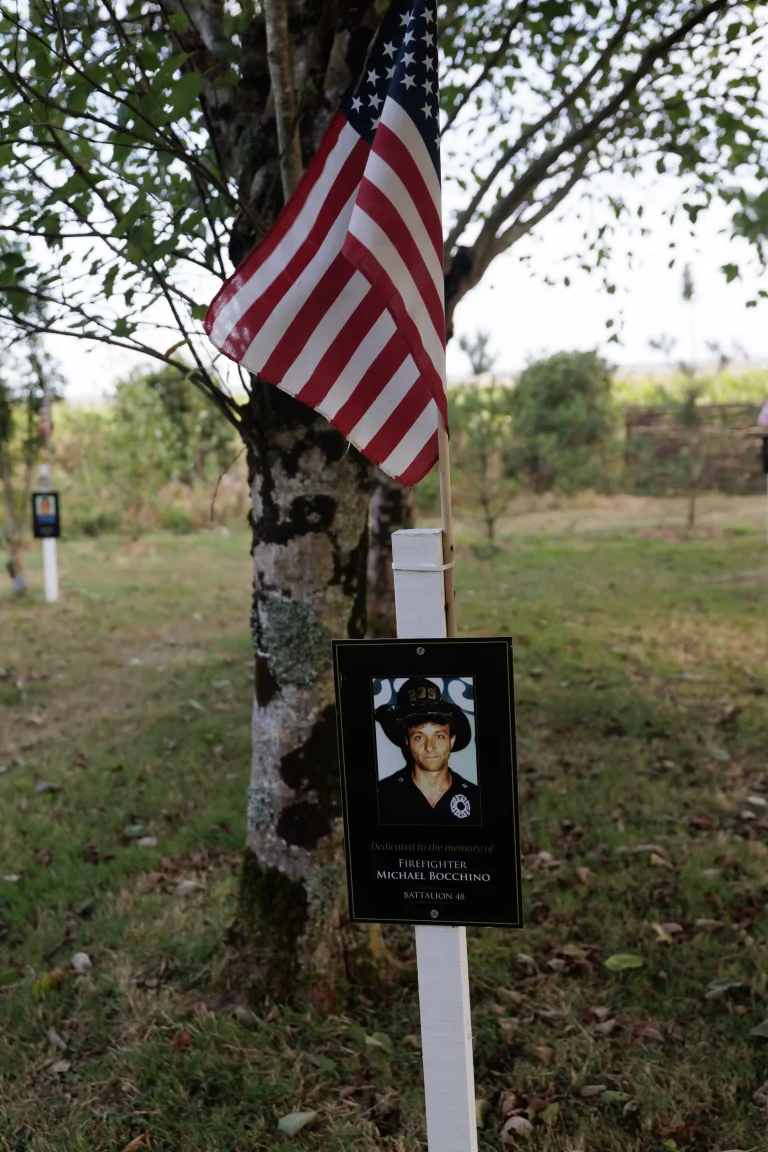 Photo of Michael Bocchino's tree in Ringfinnan Garden of Remembrance