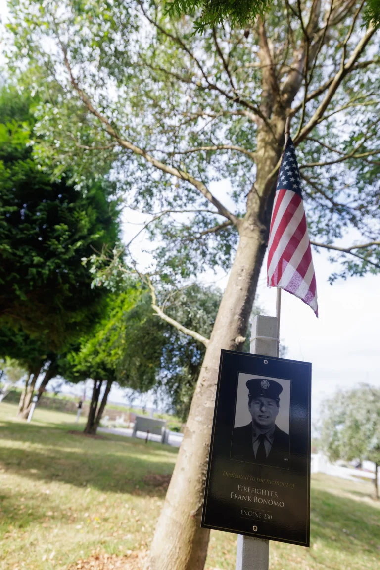 Photo of Frank Bonomo's tree in Ringfinnan Garden of Remembrance
