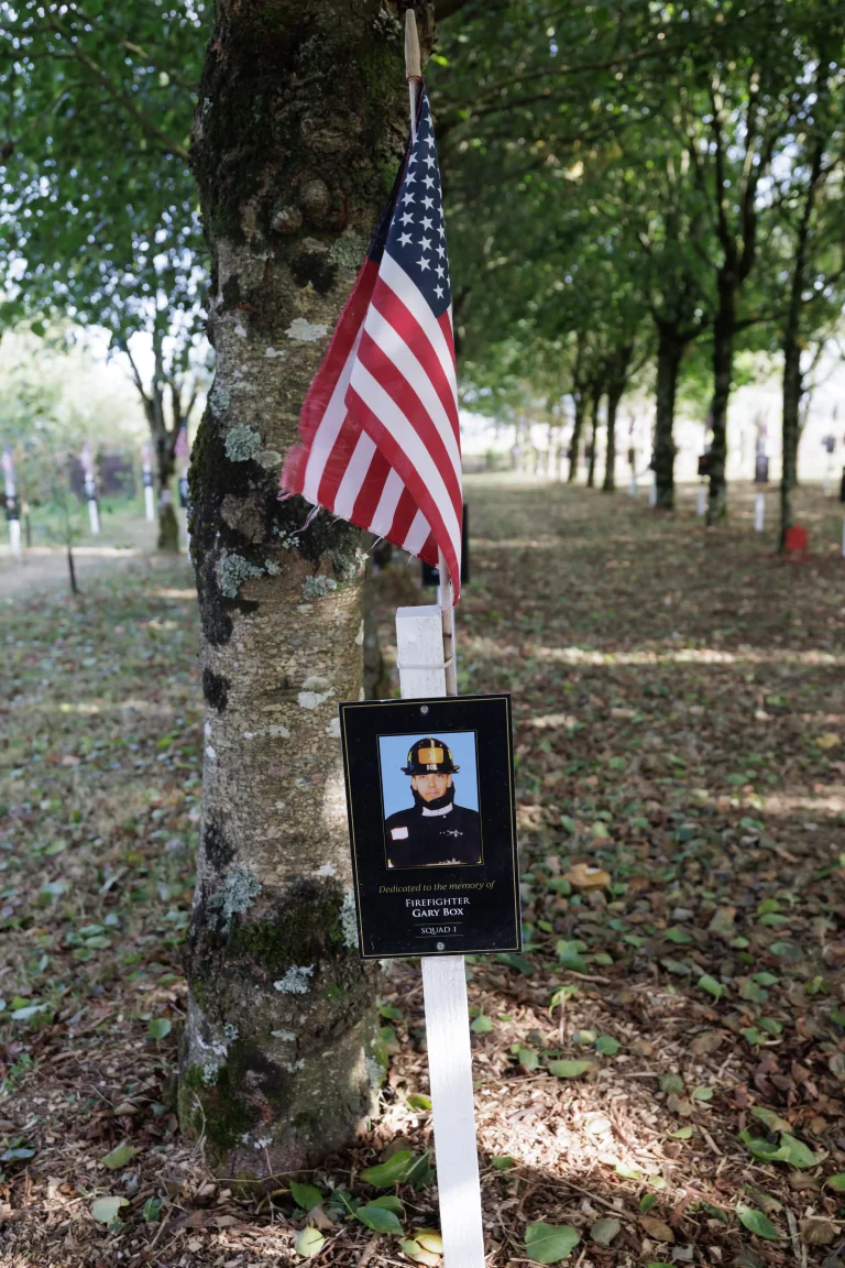 Photo of Gary Box's tree in Ringfinnan Garden of Remembrance