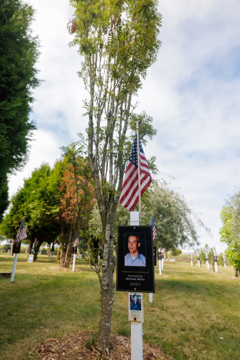 Photo of Michael Boyle's tree in Ringfinnan Garden of Remembrance