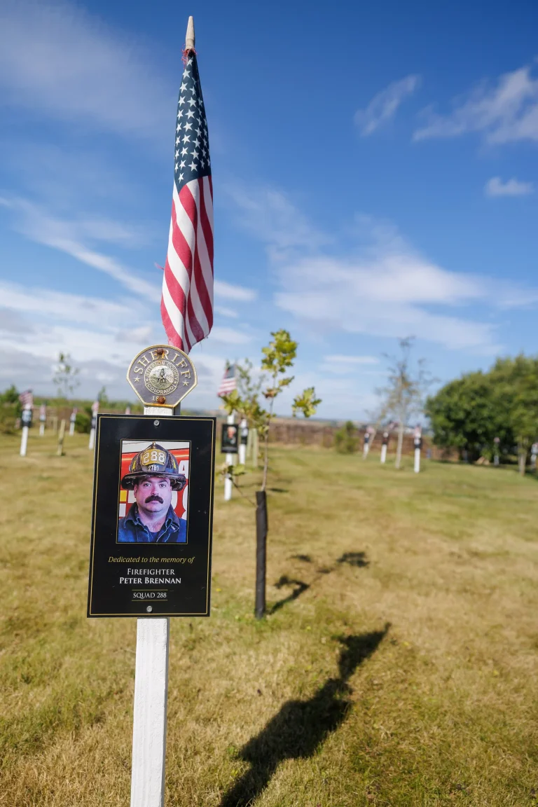 Photo of Peter Brennan's tree in Ringfinnan Garden of Remembrance