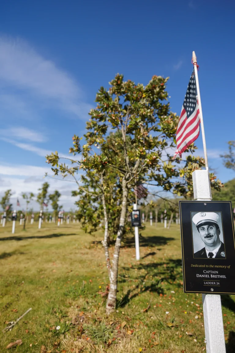 Photo of Daniel Brethel's tree in Ringfinnan Garden of Remembrance