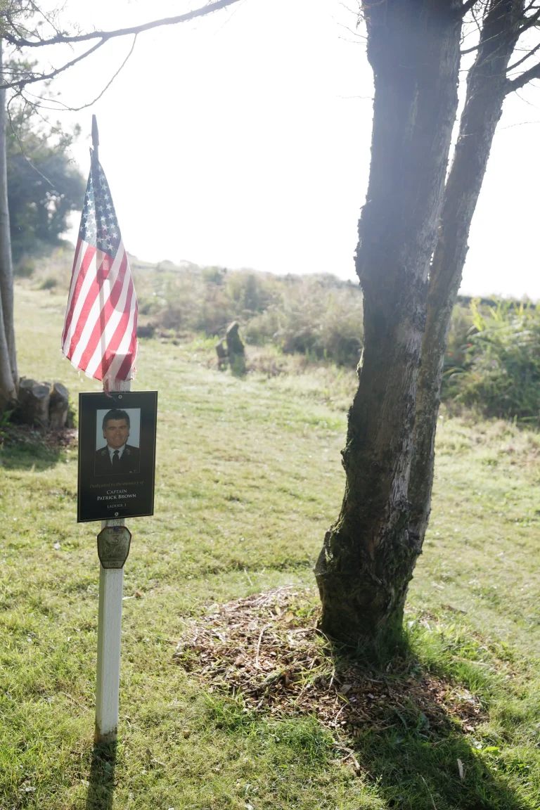 Photo of Patrick Brown's tree in Ringfinnan Garden of Remembrance