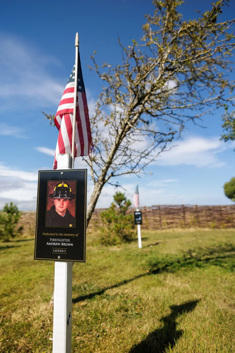 Photo of Andrew Brunn's tree in Ringfinnan Garden of Remembrance