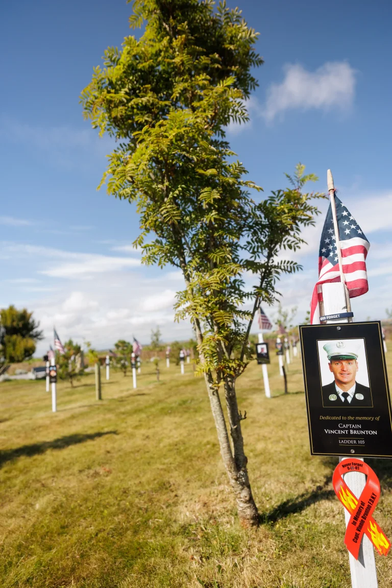Photo of Vincent Brunton's tree in Ringfinnan Garden of Remembrance