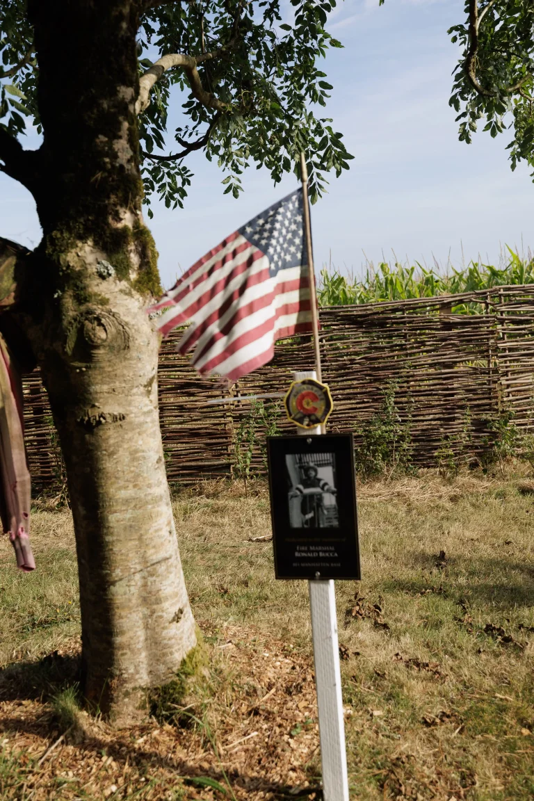 Photo of Ronald Bucca's tree in Ringfinnan Garden of Remembrance