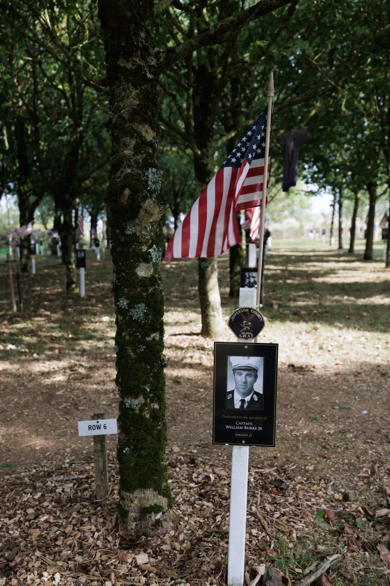 Photo of William Burke Jr's tree in Ringfinnan Garden of Remembrance