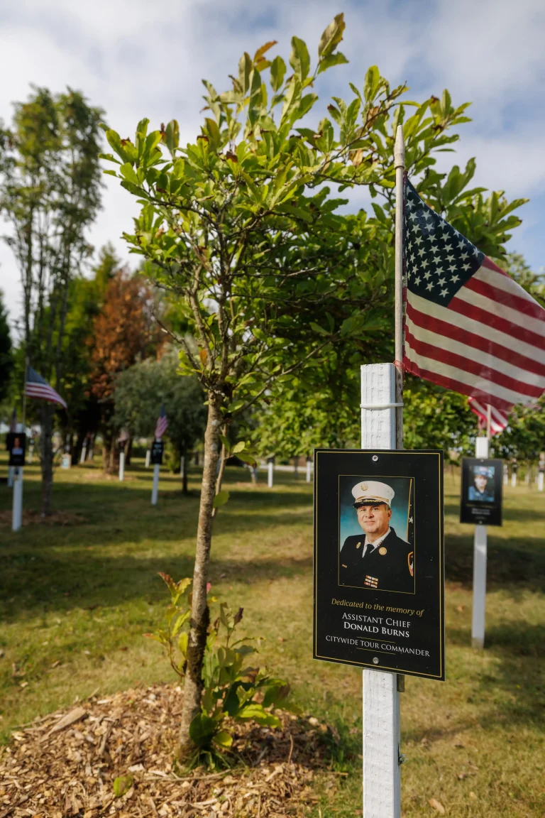 Photo of Donald Burns's tree in Ringfinnan Garden of Remembrance