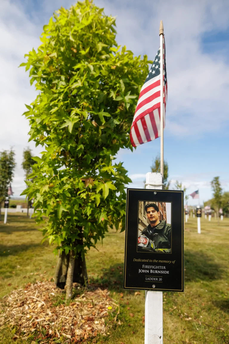 Photo of John Burnside's tree in Ringfinnan Garden of Remembrance