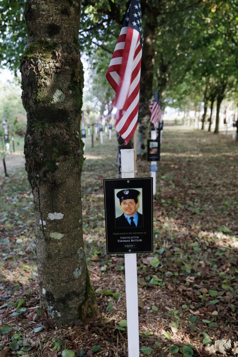 Photo of Thomas Butler's tree in Ringfinnan Garden of Remembrance