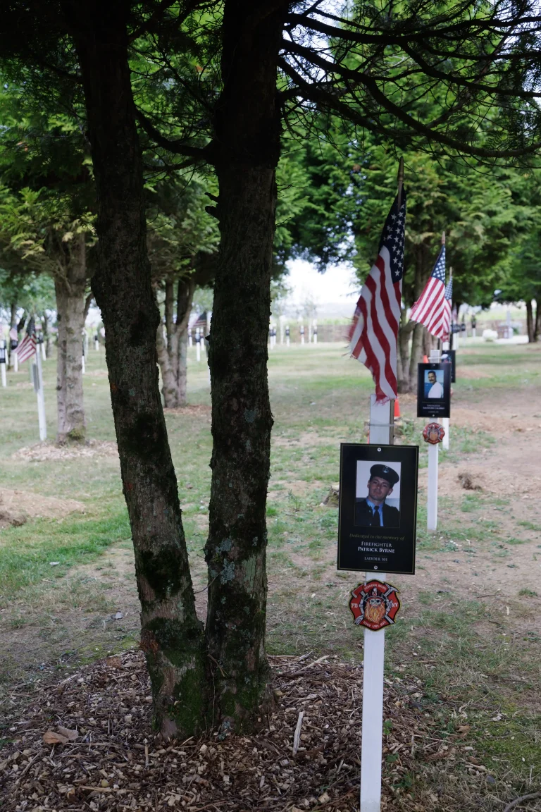 Photo of Patrick Byrne's tree in Ringfinnan Garden of Remembrance