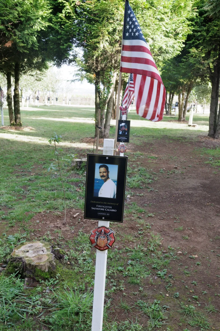 Photo of Salvatore Calabro's tree in Ringfinnan Garden of Remembrance