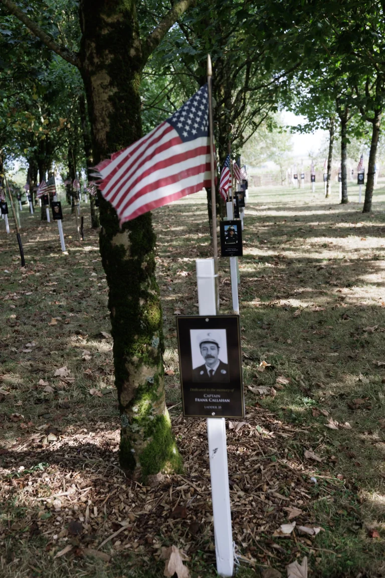Photo of Frank Callahan's tree in Ringfinnan Garden of Remembrance
