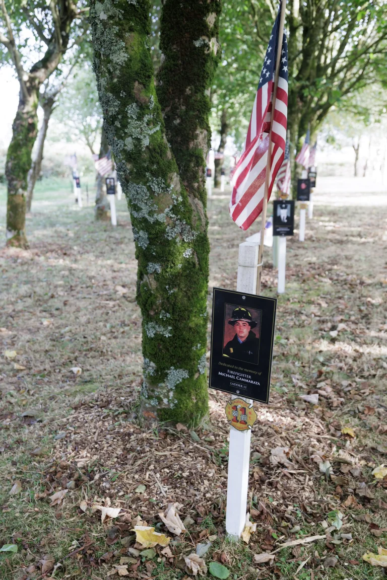 Photo of Michael Cammarata's tree in Ringfinnan Garden of Remembrance