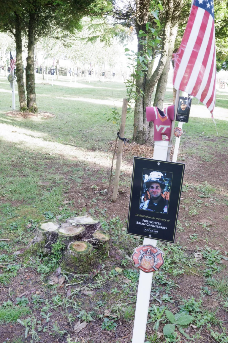 Photo of Brian Cannizzaro's tree in Ringfinnan Garden of Remembrance