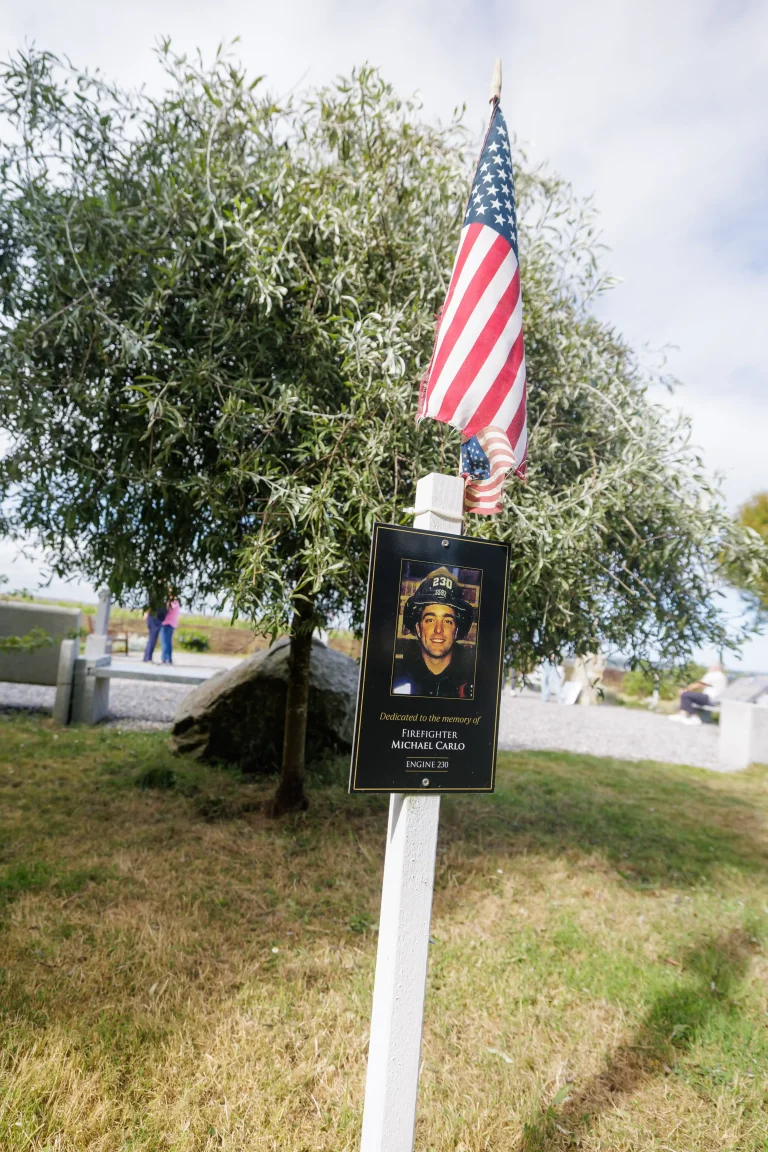 Photo of Michael Carlo's tree in Ringfinnan Garden of Remembrance