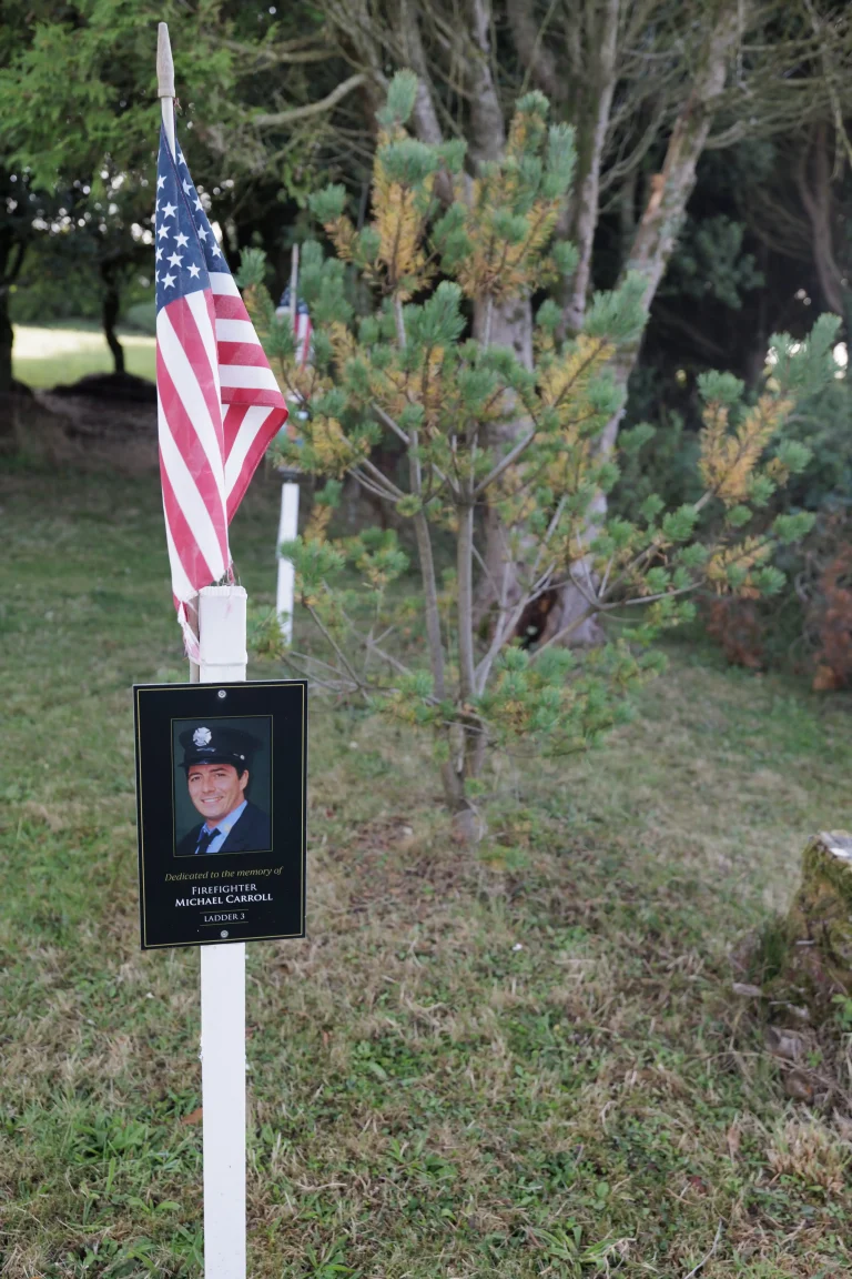 Photo of Michael Carroll's tree in Ringfinnan Garden of Remembrance