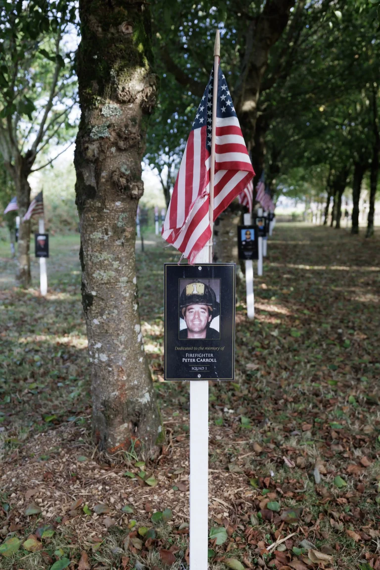 Photo of Peter Carroll's tree in Ringfinnan Garden of Remembrance