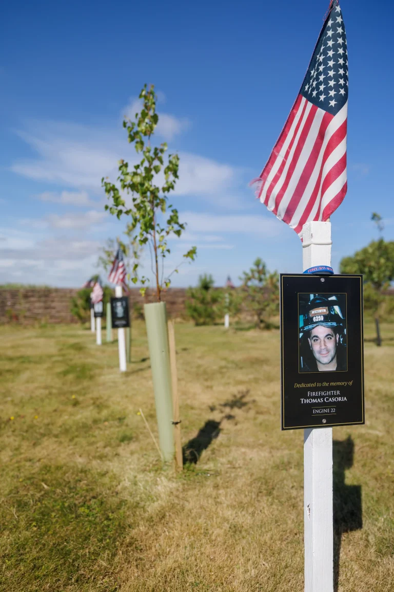 Photo of Thomas Casoria's tree in Ringfinnan Garden of Remembrance