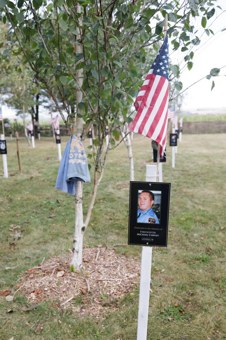 Photo of Michael Cawley's tree in Ringfinnan Garden of Remembrance