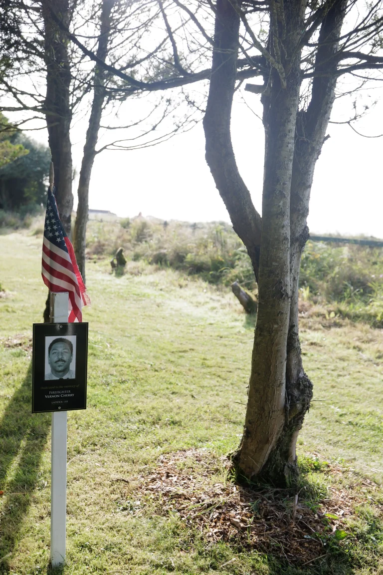 Photo of Vernon Cherry's tree in Ringfinnan Garden of Remembrance