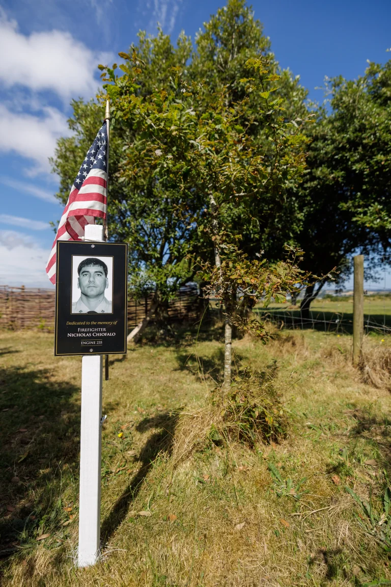 Photo of Nicholas Chiofalo's tree in Ringfinnan Garden of Remembrance
