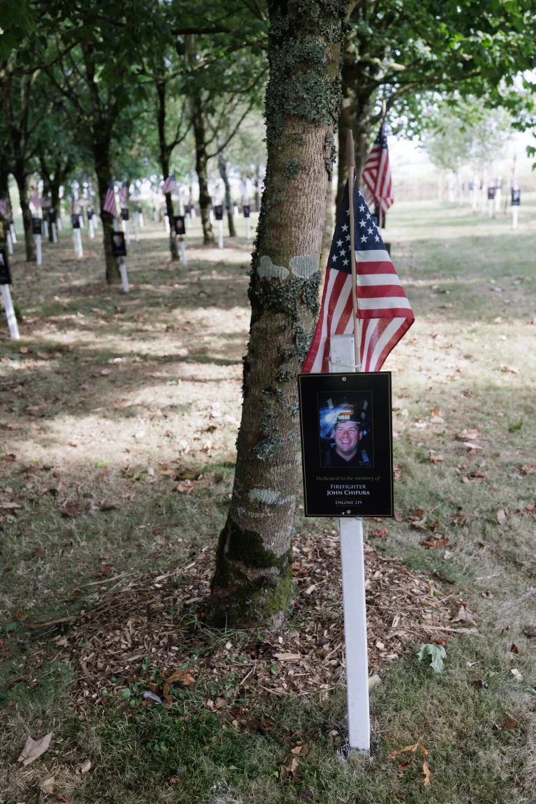 Photo of John Chipura's tree in Ringfinnan Garden of Remembrance