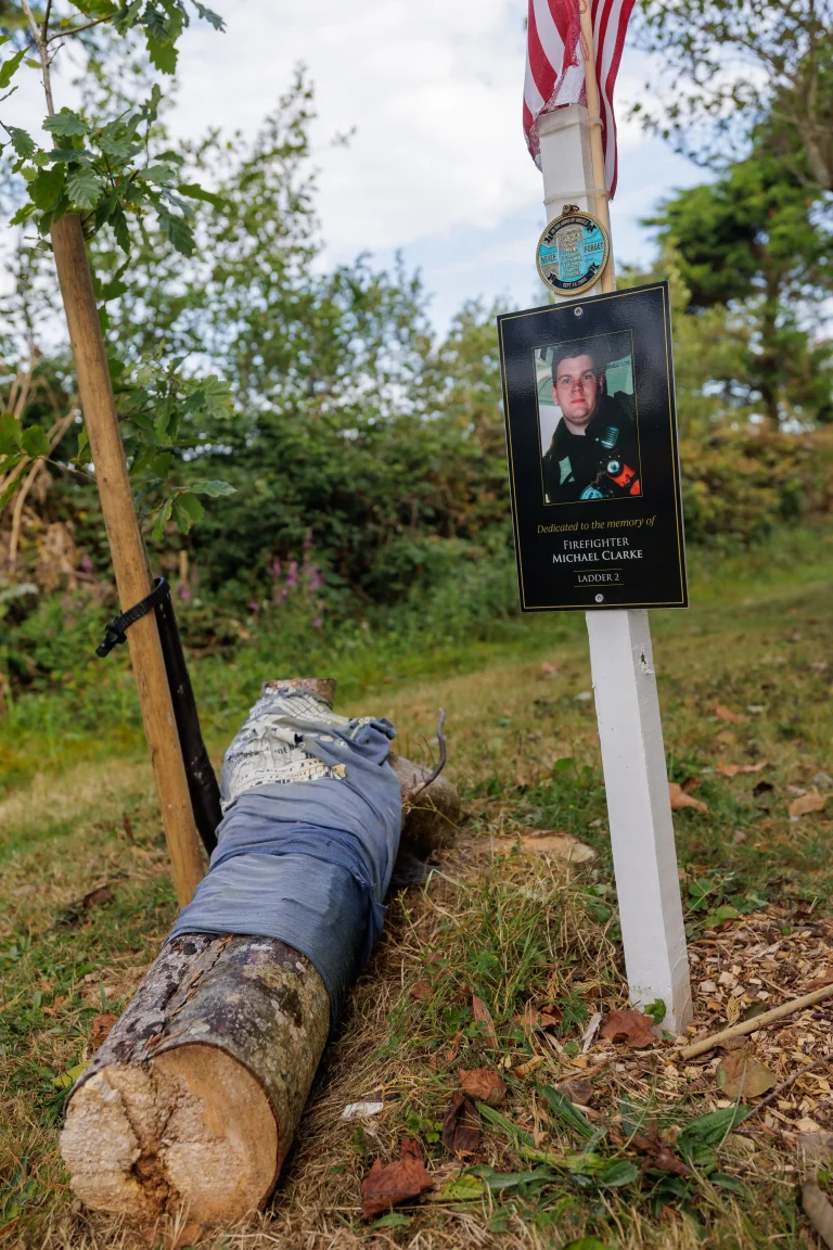 Photo of Michael Clarke's tree in Ringfinnan Garden of Remembrance
